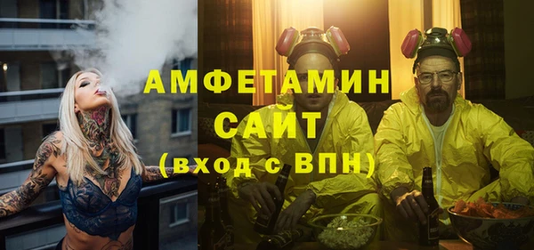 гашик Новозыбков