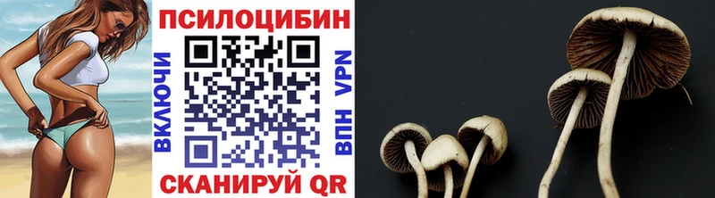 где можно купить   МЕГА маркетплейс  Галлюциногенные грибы прущие грибы  Рыбное 